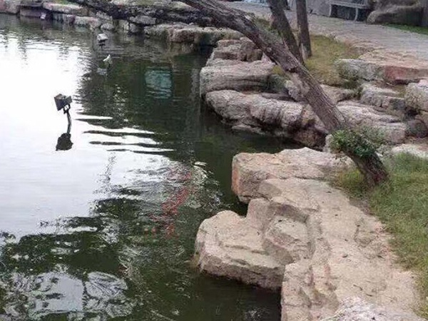 驳岸工程